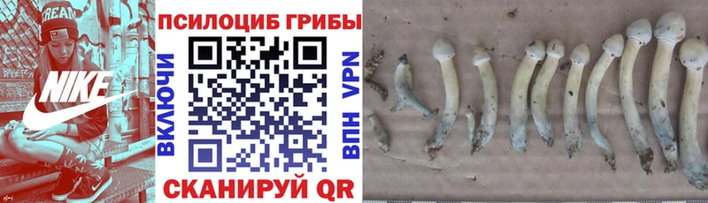 Галлюциногенные грибы Magic Shrooms  закладка  Касимов 