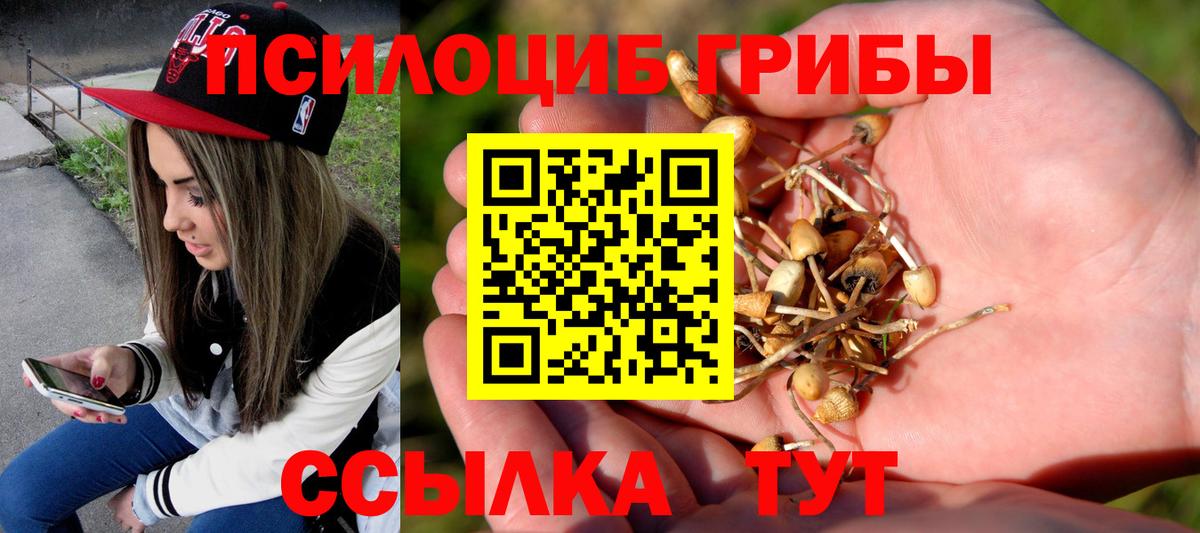 Касимов  Галлюциногенные грибы мухоморы  Вход с VPN 