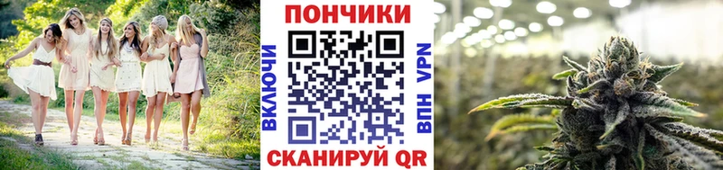 Бошки Шишки конопля  Касимов 